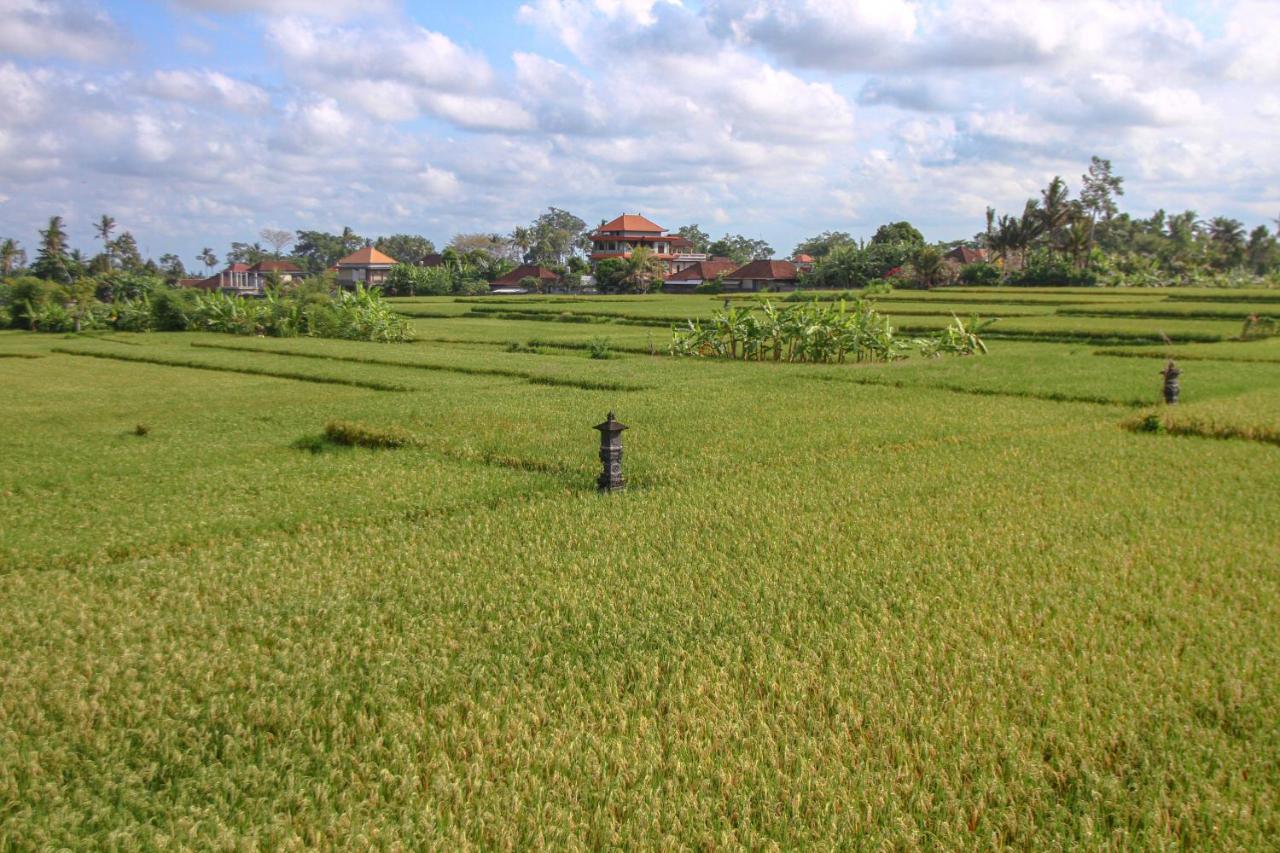 Kubu Sari Ubud Экстерьер фото